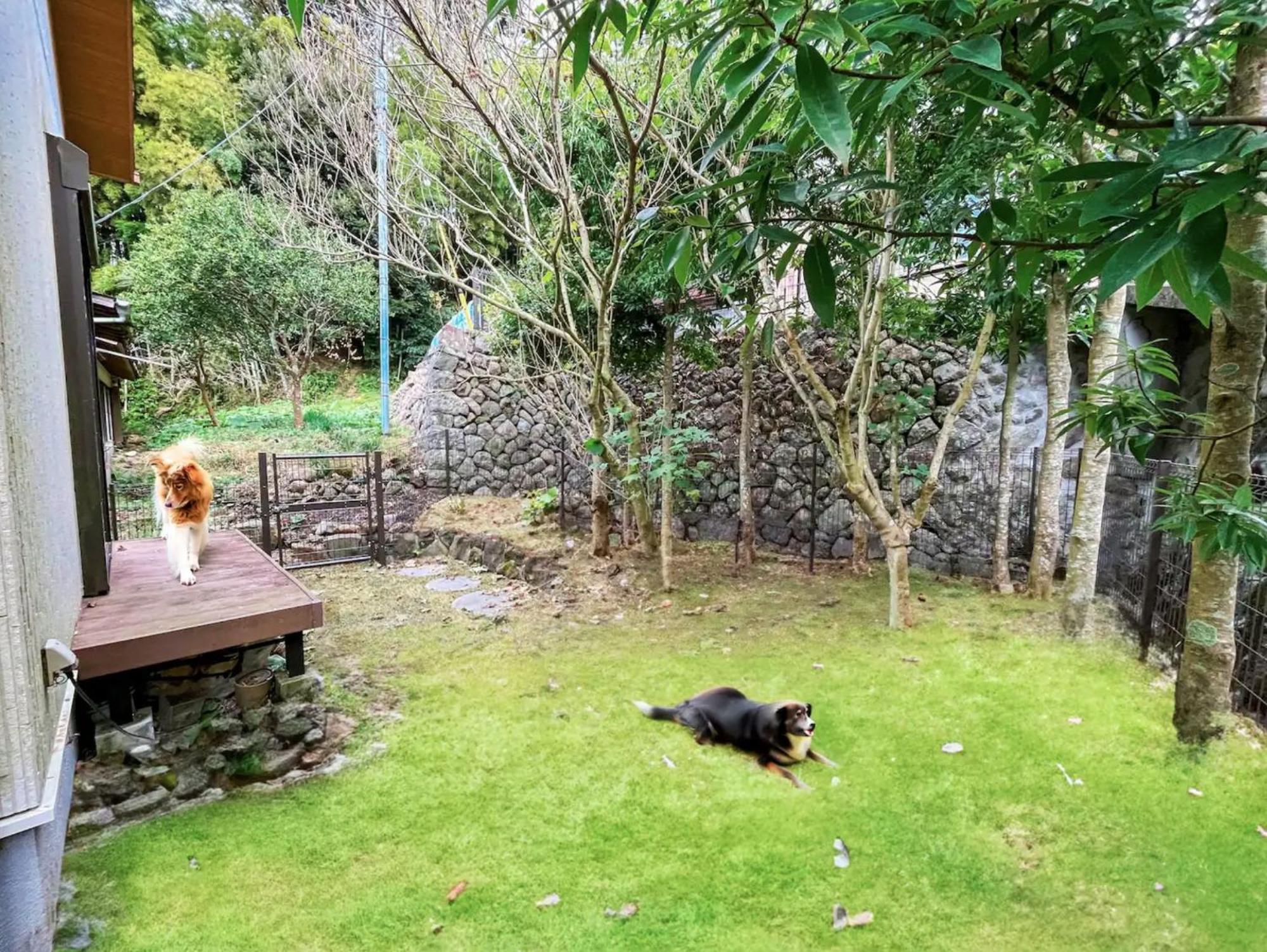 Kawazu Neue Villa Dış mekan fotoğraf